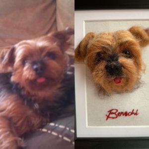 Benschi, Needle Felted Shih Tzu Portrait in Frame